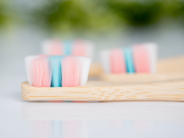 Feather Bristle Toothbrush