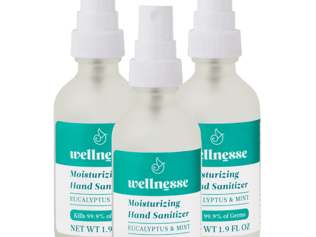 Moisturizing Hand Sanitizer, 3 Pack - Wellnesse