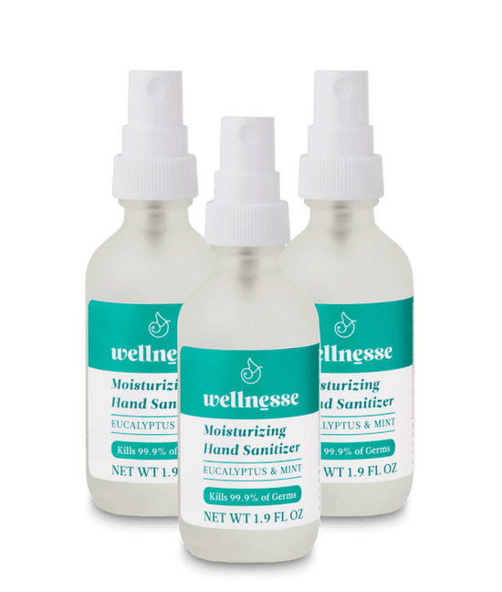 Moisturizing Hand Sanitizer, 3 Pack - Wellnesse