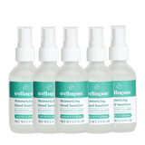 Moisturizing Hand Sanitizer, 5 Pack - Wellnesse