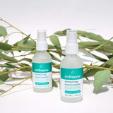 Moisturizing Hand Sanitizer - Wellnesse