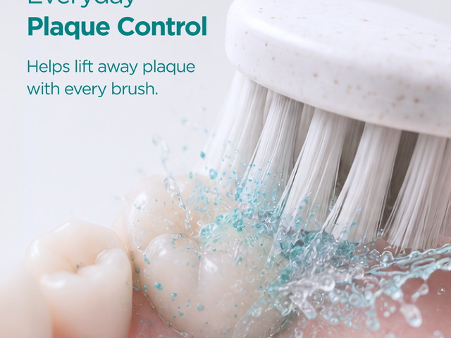 Electric Toothbrush Replacement Heads (2pk)