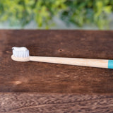 Bamboo toothbrush with soft white bristles and mint green handle tip resting on a wooden surface with greenery in the background