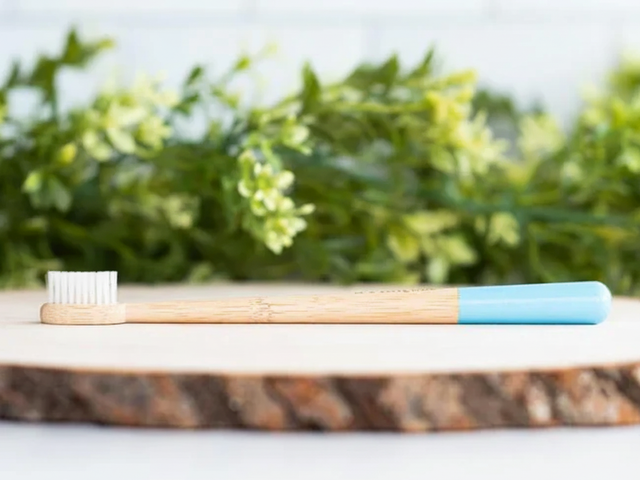 Bamboo Toothbrush