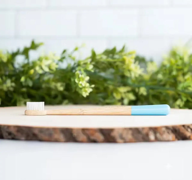 Two Wellnesse biodegradable toothbrushes resting on a natural wood slice with lush green plants behind