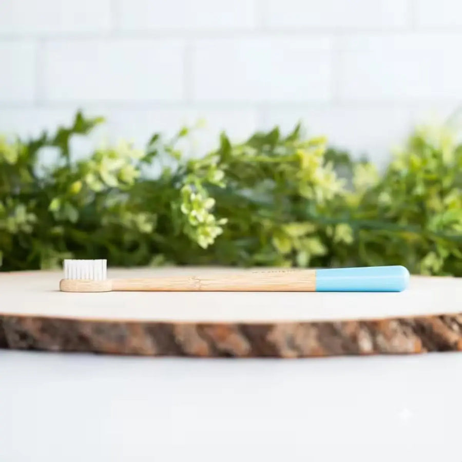 Two Wellnesse biodegradable toothbrushes resting on a natural wood slice with lush green plants behind