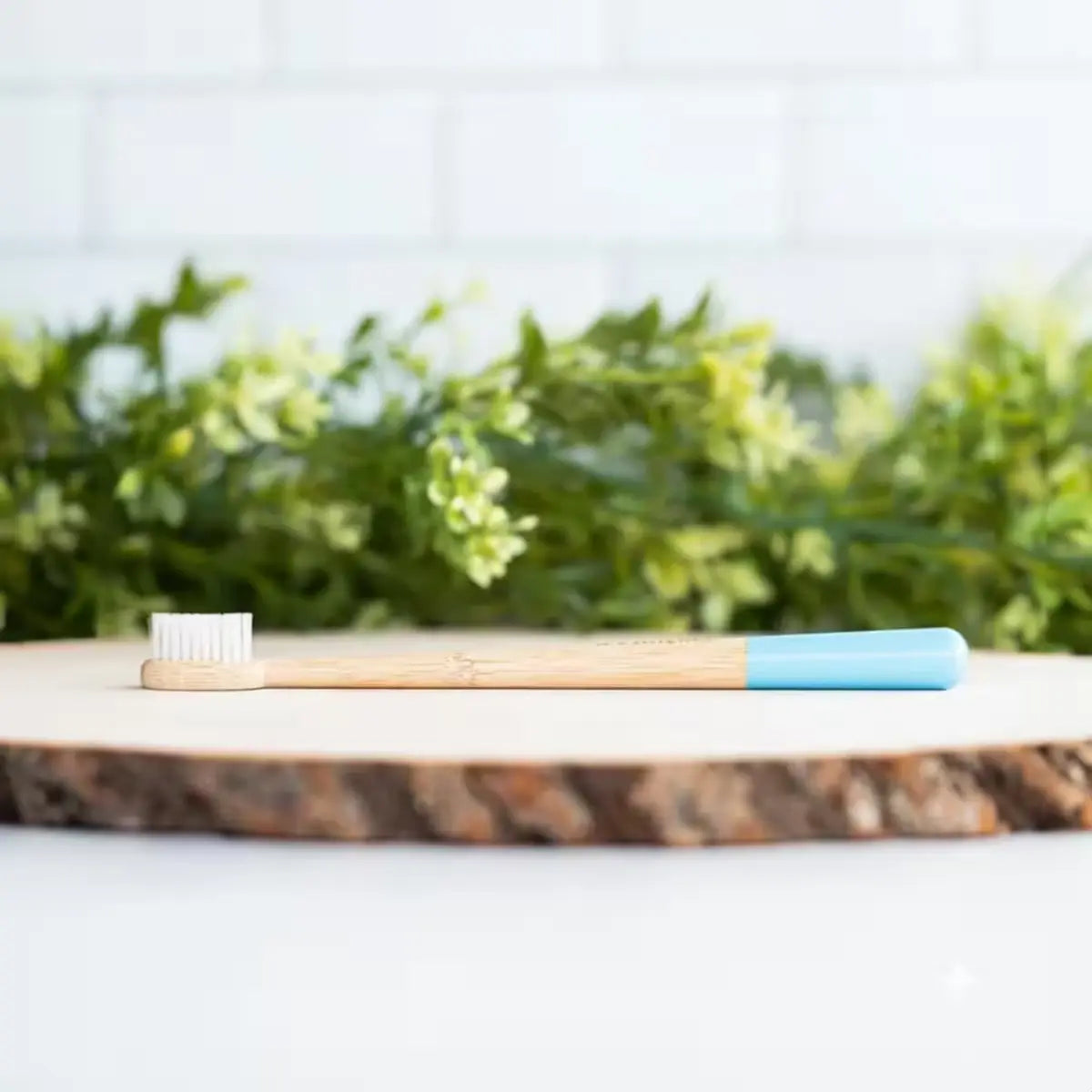 Eco-Friendly Biodegradable Bamboo Toothbrush