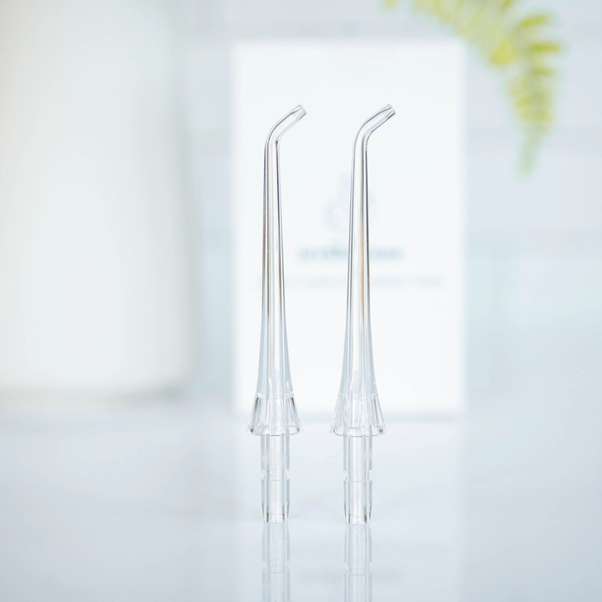Water Flosser Replacement Heads 2-Pack
