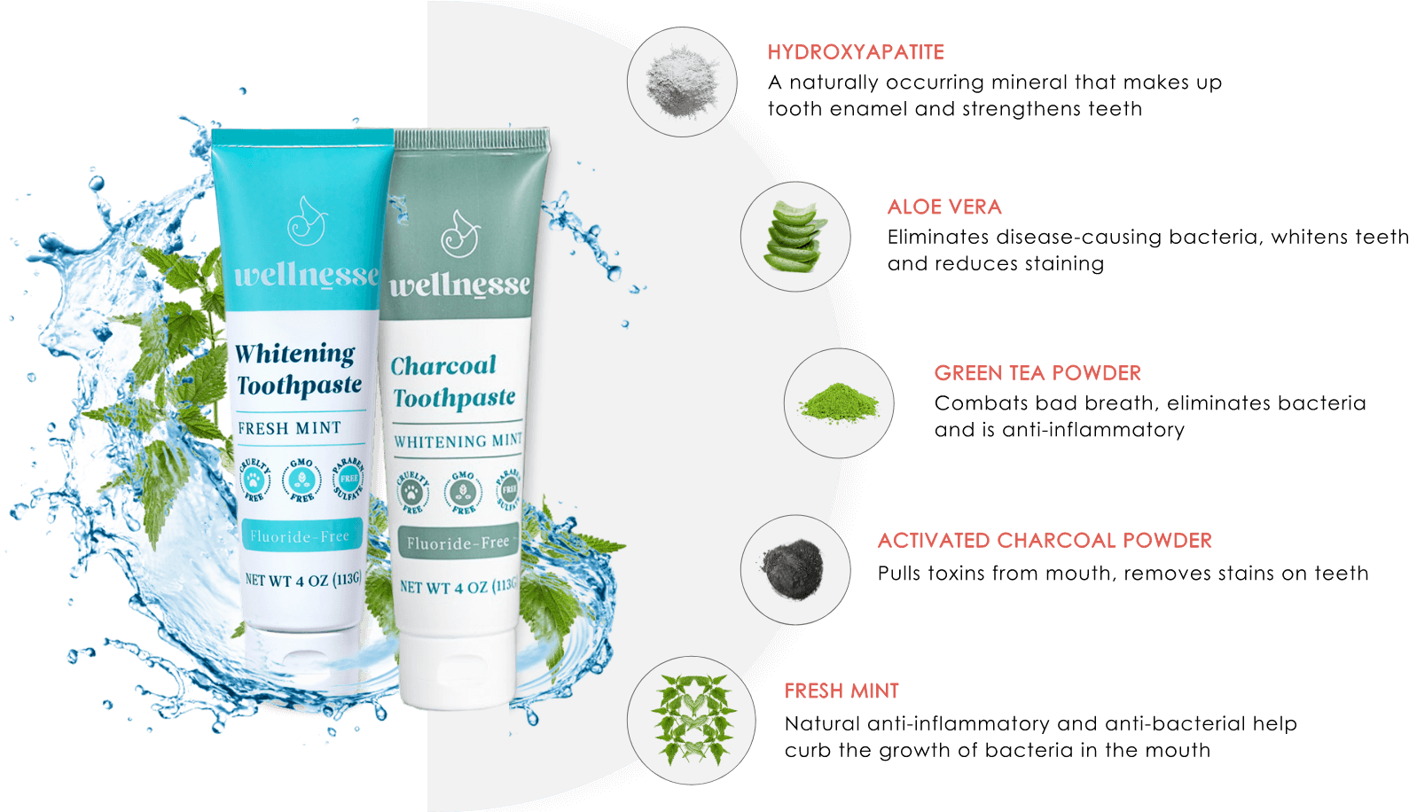 Toothpaste Kit Offer | Wellnesse