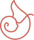 Wellnesse Toothpaste logo