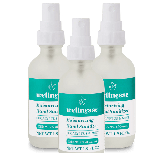 Moisturizing Hand Sanitizer, 3 Pack - Wellnesse