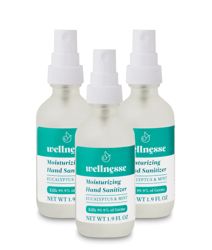 Moisturizing Hand Sanitizer, 3 Pack - Wellnesse